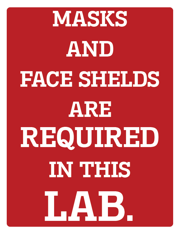 Lab Masks